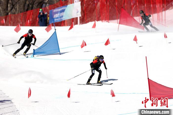 冰雪盛会温情叙事：拥抱、生日宴与生态共生